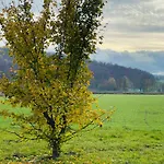 Mitte Uettingen